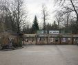 München Botanischer Garten Frisch Tierpark Hellabrunn Munich Zoo Hellabrunn