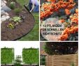 Natron Im Garten Luxus Garten Rasenkante Im Garten Gestalten – Eine Auswahl An