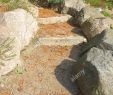 Natursteintreppe Garten Genial Stone Path Made Of Field Stones Stock Alamy