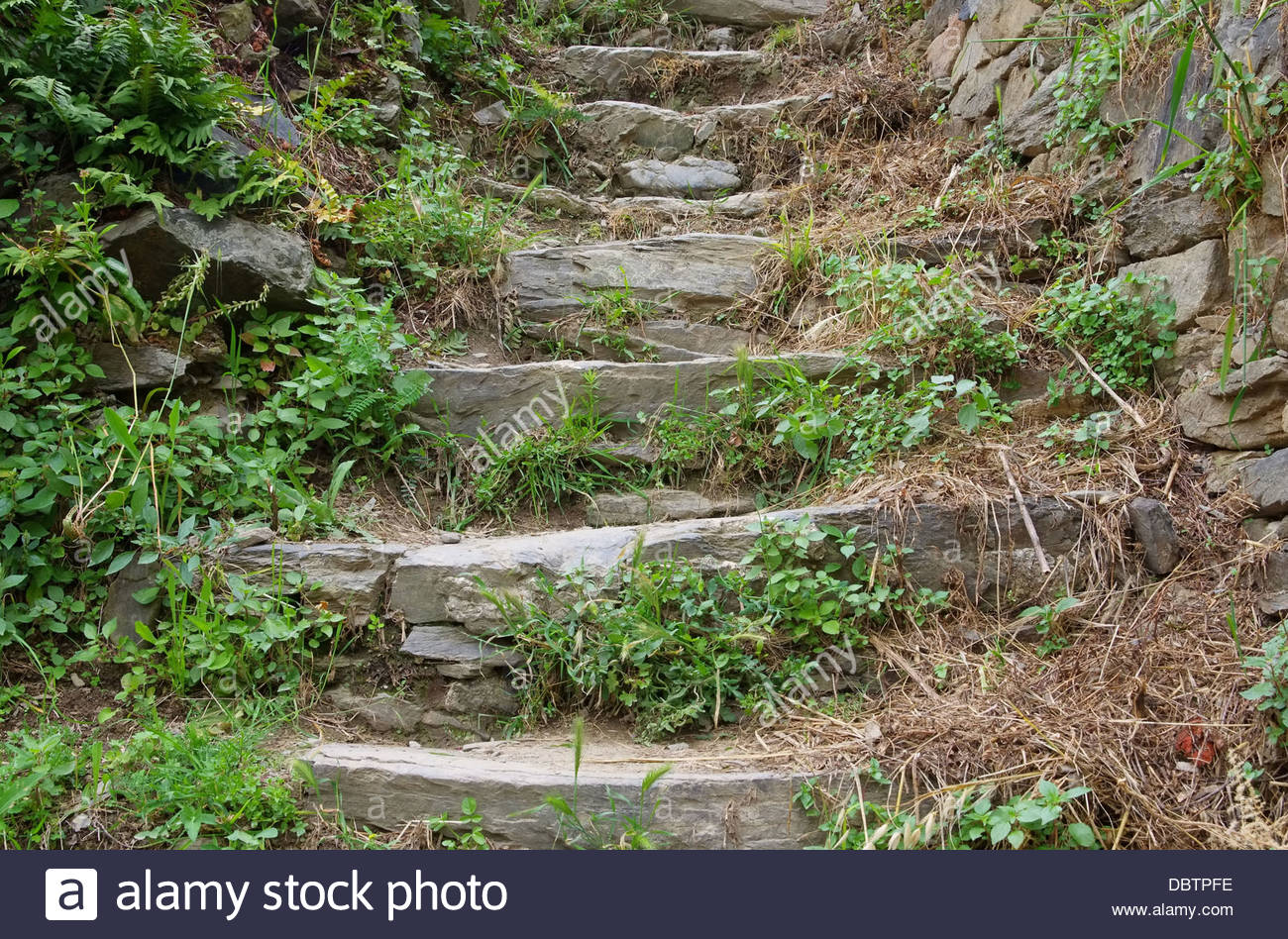 natursteintreppe natural stone staircase 02 DBTPFE