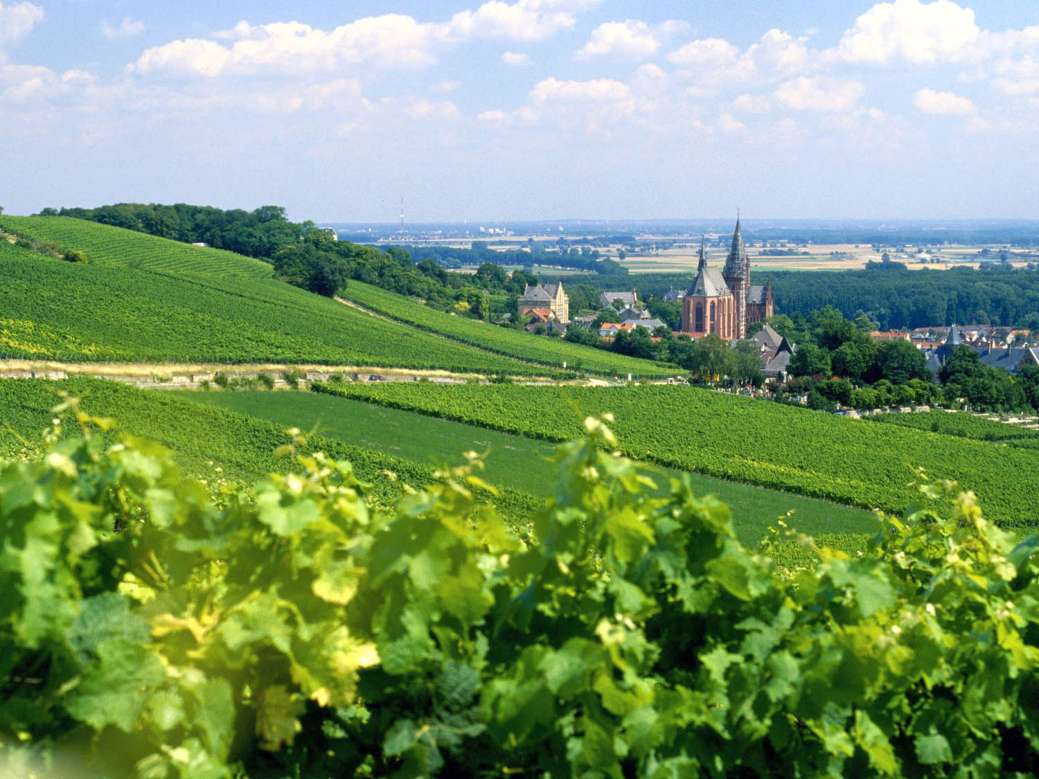 Offene Gärten Rheinhessen Inspirierend A Beginnerampaposs Guide to German Wine Serious Eats
