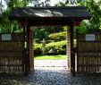 Pavilion Garten Inspirierend Japanese Garden – Bonn – tourist attractions Tropter