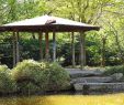 Pavilion Garten Schön Japanese Garden – Bonn – tourist attractions Tropter