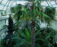 Pavillion Garten Best Of Palm House Schönbrunn
