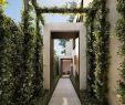 Pavillon Für Garten Elegant 367 Best Gate Images In 2020