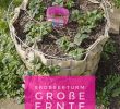 Permakultur Garten Anleitung Inspirierend Unser Erdbeerturm