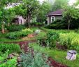 Permakultur Garten Planen Einzigartig Actcat Actcathorsre On Pinterest