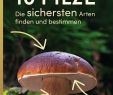 Pilze Im Garten Bestimmen Elegant 10 Pilze Ulmer Verlag Bücher & Zeitschriften Für Garten