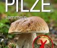 Pilze Im Garten Bestimmen Frisch Lüder R Einfach Sicher Pilze Sammeln Buch Weltbild
