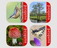 Pilze Im Garten Bestimmen Neu Apps Von Mullen & Pohland Gbr Im App Store