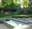 Pool Im Garten Elegant Landscaping Around Pool — Procura Home Blog