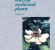Rattenplage Im Garten Frisch Piante Medicinali Vol 4 by Lorenza Valdemarca issuu