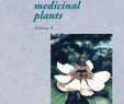 Rattenplage Im Garten Frisch Piante Medicinali Vol 4 by Lorenza Valdemarca issuu