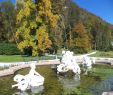 Reihenhaus Garten Luxus Kaiser Villa Bad ischl 2020 All You Need to Know before