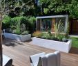 Reihenhausgarten Beispiele Best Of 34 Modern Garden Design Ideas for Front Yard