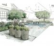 Reihenhausgarten Beispiele Elegant Nach Der Grundlagenplanung Und Dem Planungskonzept Werden