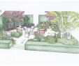 Reihenhausgarten Gestalten Einzigartig Pin by Guadalupe On Diseo De Jardines