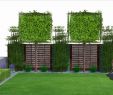 Reihenhausgarten Gestalten Ideen Elegant 34 Elegant Sichtschutz Kleiner Garten Inspirierend