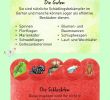 Rote Ameisen Im Garten Best Of 40 Neu Raupen Im Garten Neu