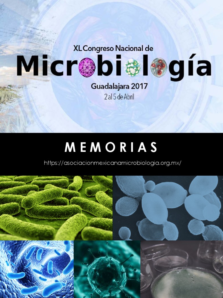 Schwimmingpool Für Garten Elegant Memorias Xl Congreso Nacional Microbiologia 1