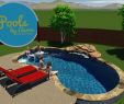 Schwimmpool Garten Best Of Richard Family Pool Design Anthony & Sylvan Pools Call Aaron 512 934 4222