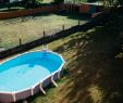 Schwimmpool Garten Best Of the 8 Best Ground Pools Of 2020