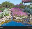 Schwimmpool Garten Best Of Water Pool ornamental Image & Free Trial