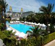 Schwimmpool Garten Einzigartig Delphin Diva Hotel Premiere 5 Hrs Star Hotel In Antalya