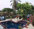 Schwimmpool Garten Einzigartig Mango Inn Resort Pool & Reviews Tripadvisor