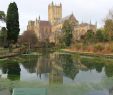 Schwimmpool Garten Frisch File Wells Cathedral From the Reflecting Pool at the Bishops