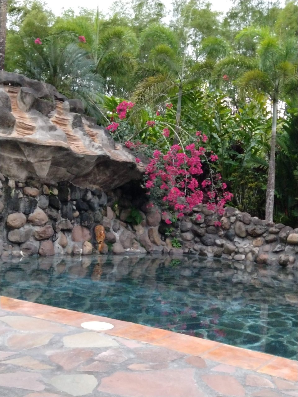 Schwimmpool Garten Genial Mussaenda Hotel & Gardens Pool & Reviews Tripadvisor