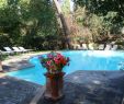 Schwimmpool Garten Neu Borgo Dolciano Pool & Reviews Tripadvisor