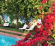 Schwimmpool Garten Schön Hotel Meghniwas $52 $Ì¶8Ì¶6Ì¶ Updated 2020 Prices & Reviews