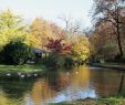Seehaus Im Englischen Garten Inspirierend A Fairytale tour Of Munich S Englischer Garten