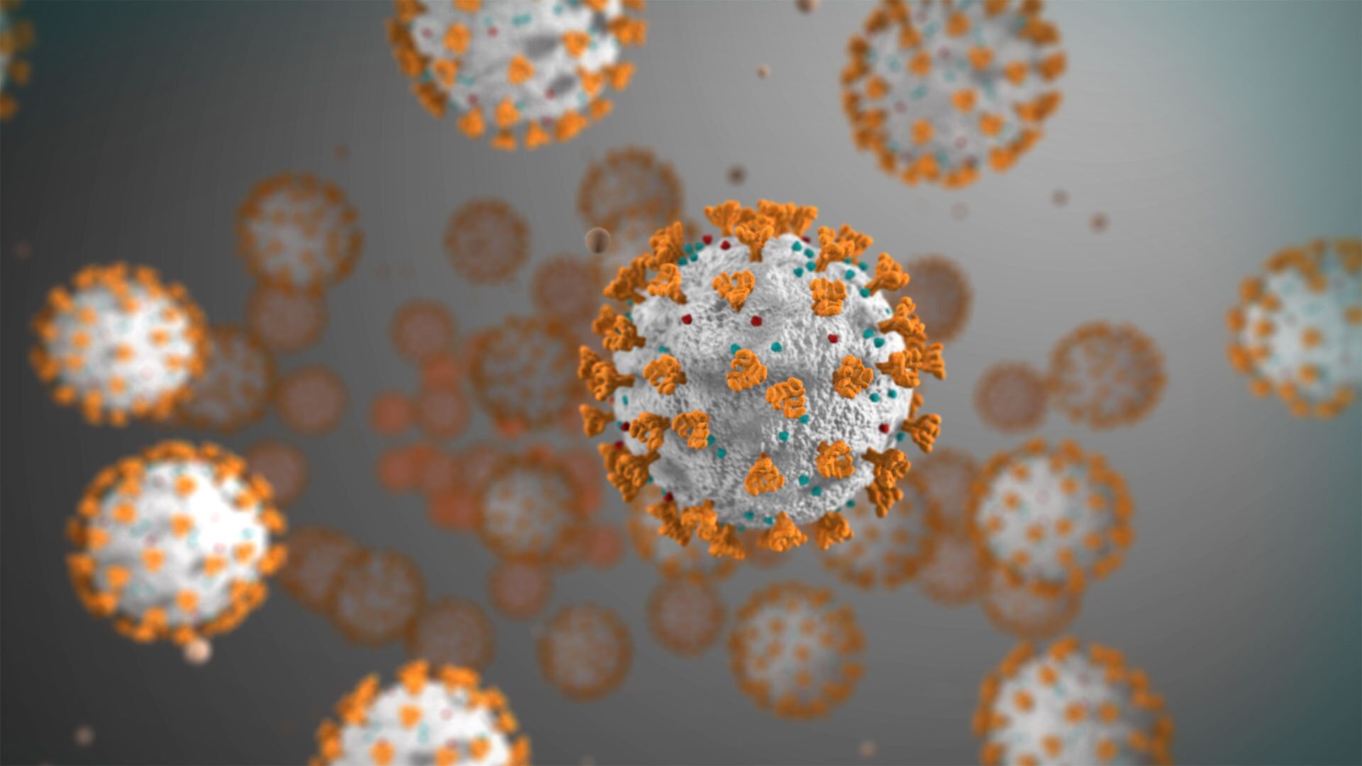 Siemens Logo forum Neu Siemens Healthineers Releases Test Kit for Coronavirus Covid