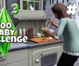 Sims 3 Design Garten Accessoires Einzigartig Doppelter Geburtstag Die Sims 3 100 Baby Challenge Part 31 Simfinity