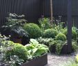 Sitzecke Garten Mauer Frisch Landscape Bricks — Procura Home Blog