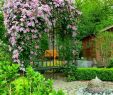 Sitzecke Garten Mauer Luxus Beste Bilder über Sitzgelegenheit Garten Am Besten