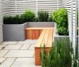 Sitzecken Im Garten Mit überdachung Schön 247 Best Terrace Images