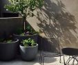Teakholzmöbel Garten Luxus Reka Bentuk Teres Gambar Membaharui Teras atau Balkoni anda