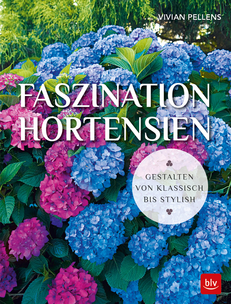 Terassen Gestalten Genial Faszination Hortensien