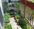 Terrasse Balkon Elegant 25 Creative Herb Garden Ideas for Indoors and Outdoors I