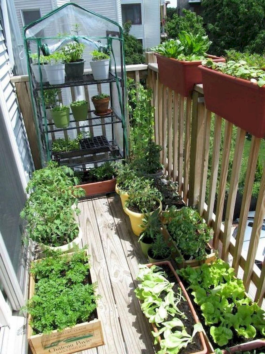 Terrasse Balkon Elegant 25 Creative Herb Garden Ideas for Indoors and Outdoors I