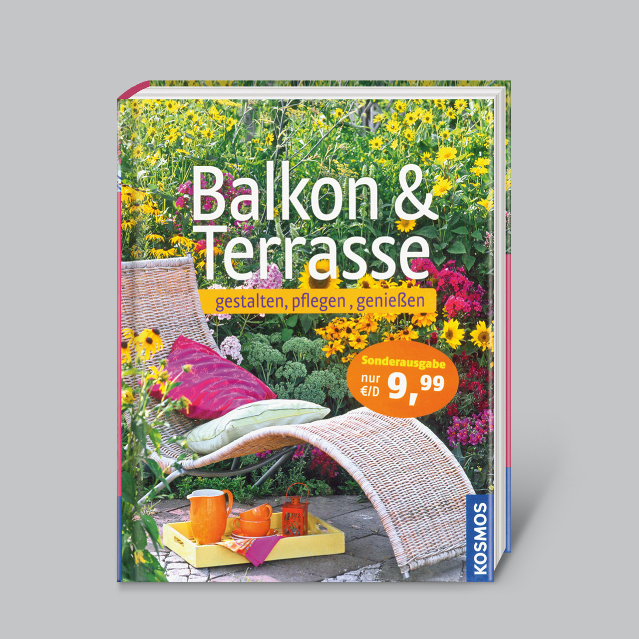 Terrasse Balkon Frisch Balkon & Terrasse Gestalten Pflegen Genießen