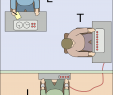 Test Blumenversand Neu Milgram Experiment