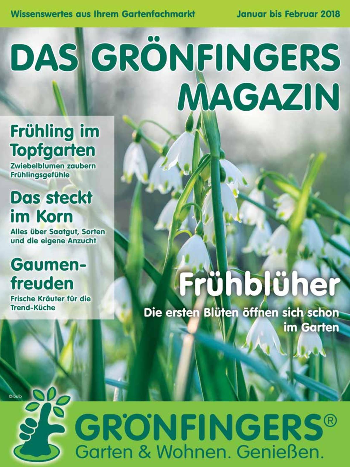 Tulpen Im Garten Best Of Calaméo Das Grönfingers Magazin 1 2018