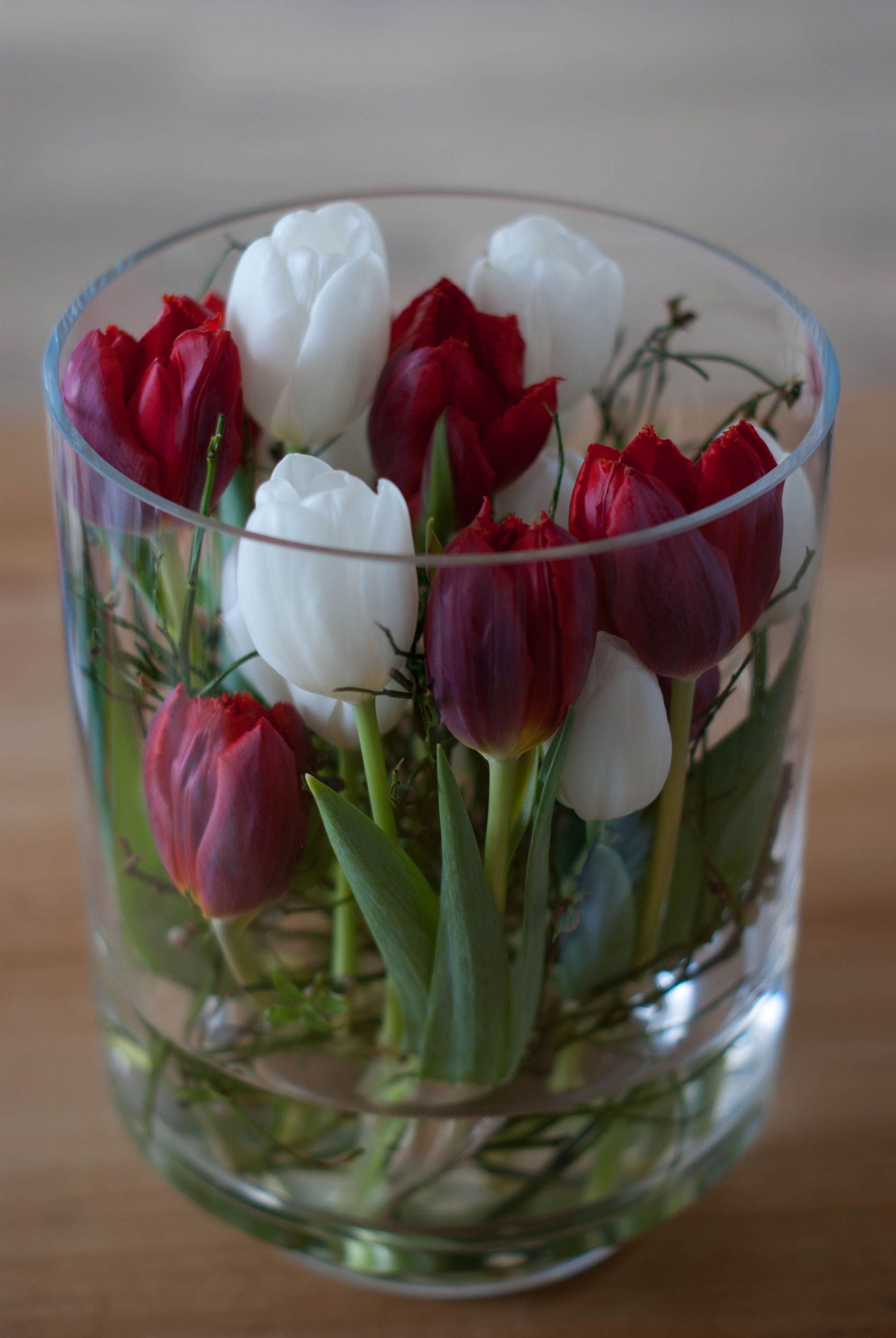 Tulpen Im Garten Best Of Fensterbank Dekorieren Fruhling