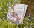 Tulpen Im Garten Best Of Schönes Aus Dem Garten Buch Verlosung