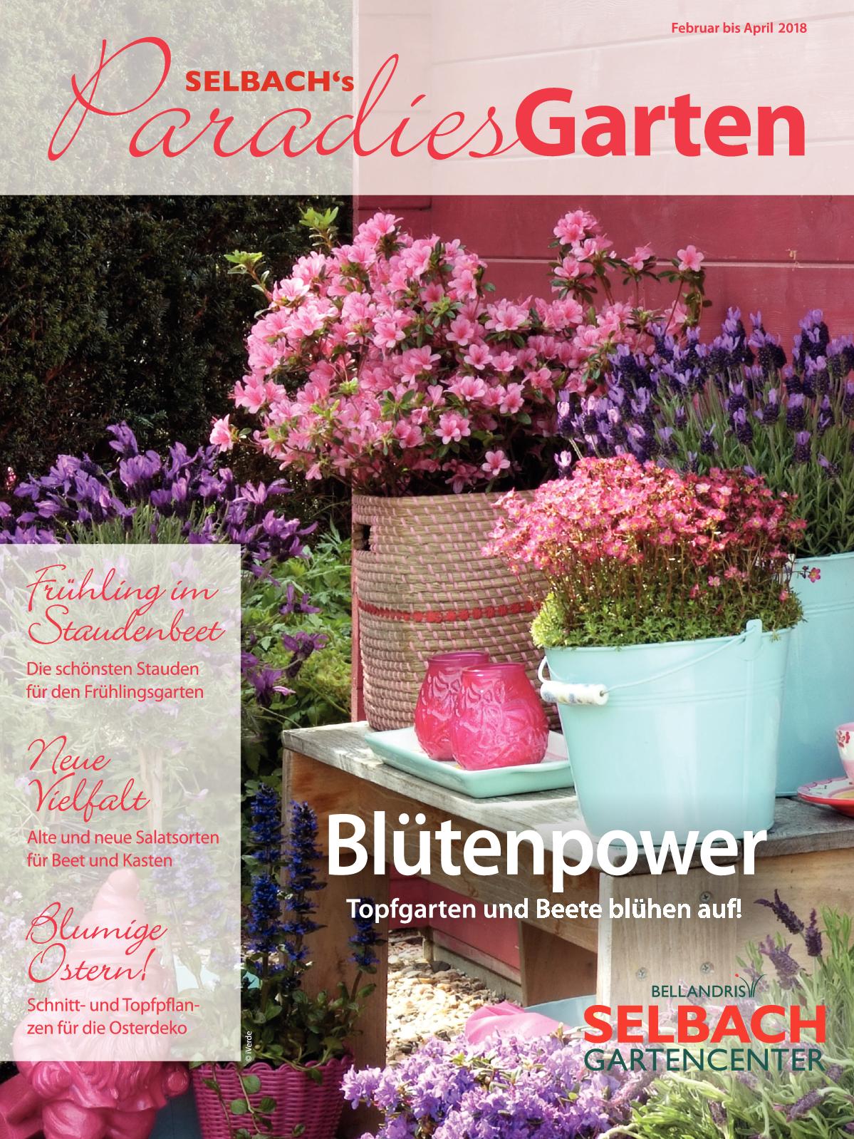 Tulpen Im Garten Luxus Calaméo Para S Garten 2 2018 Selbach