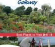 Tunnel Englischer Garten Inspirierend Wel E to Dumfries & Galloway 2017 18 by Landmark Press issuu